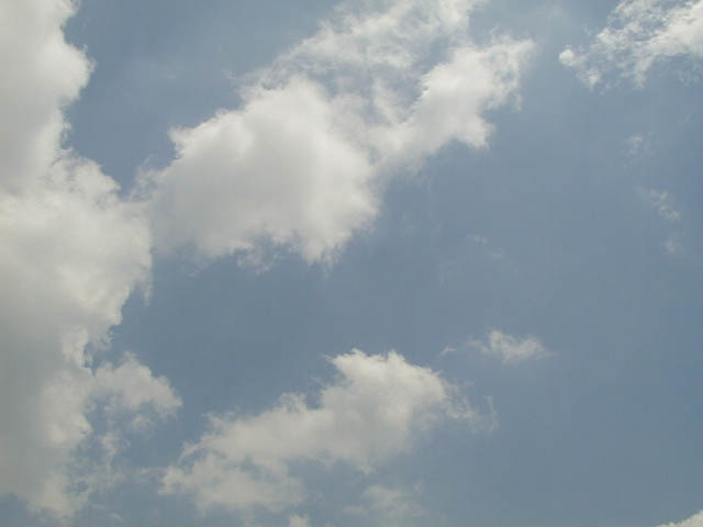 P1010002